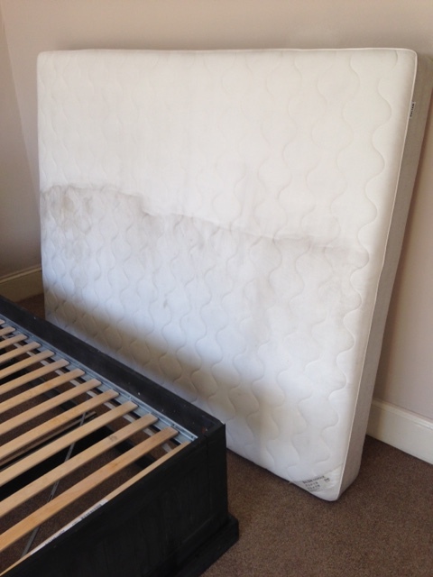 Cleaner: Image 1